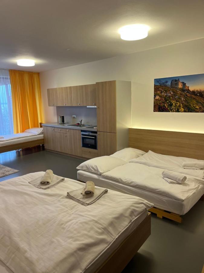 Apartament Palava Eu 11 Pavlov Zewnętrze zdjęcie